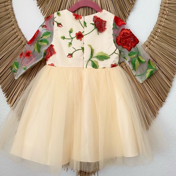 Toddler Girls Formal Holiday Christmas Floral Embroidery Mesh Gown Dress Size 4 - Picture 10 of 17